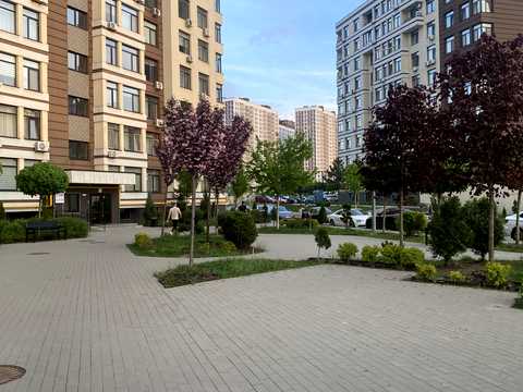 квартира по адресу Берёзовая ул., 43