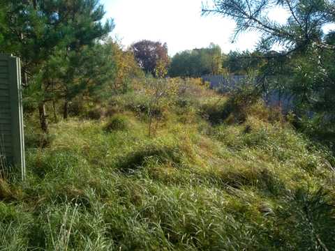 ділянка за адресою Лесная