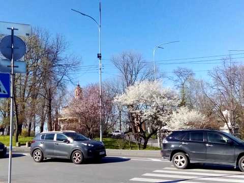 квартира за адресою Івана Мазепи вул. (Січневого Повстання), 3
