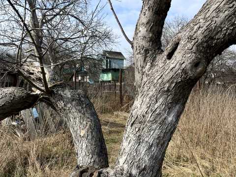 ділянка за адресою Чкалова, 101