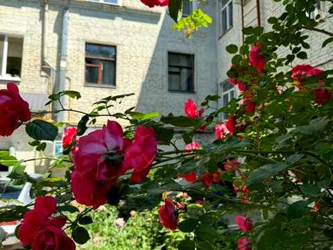 квартира по адресу Студенческий бульв., 14/6