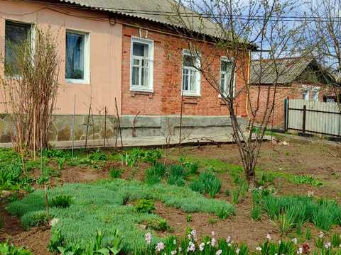 будинок за адресою Зеленогайська, 40