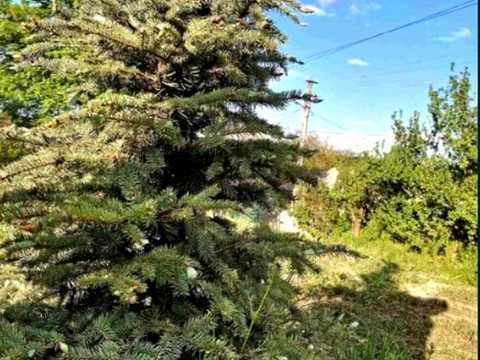 будинок за адресою Високогірна вул.