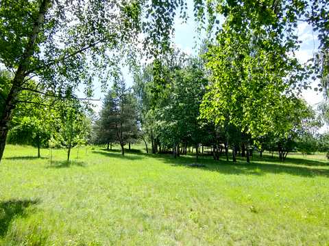 ділянка за адресою Центральна вул., 777