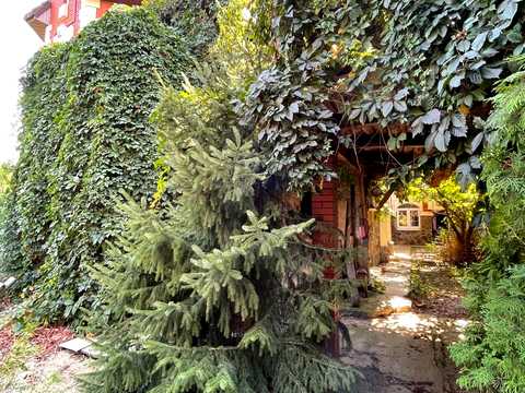 будинок за адресою Млинна вул. (Воровського), 9