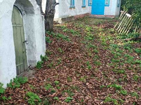 дом по адресу Городище, Ярова, 51