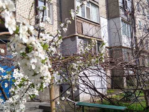 квартира за адресою Рибна вул., 7