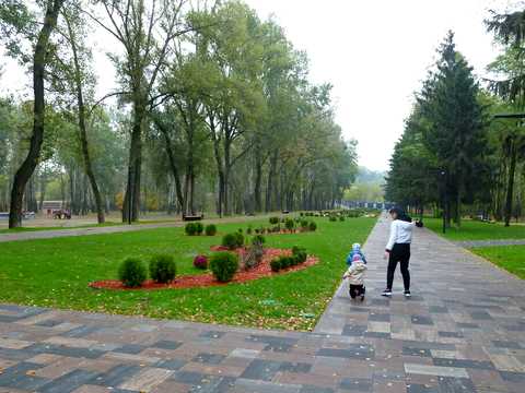квартира по адресу Ольжича ул., 7