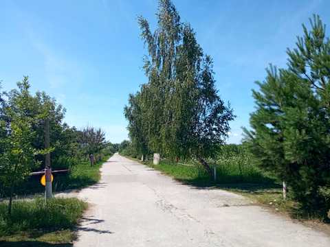 участок по адресу с. Гамалиевка, Гамаліївка