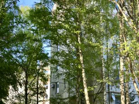 квартира за адресою Олександра Олеся вул., 25-Д
