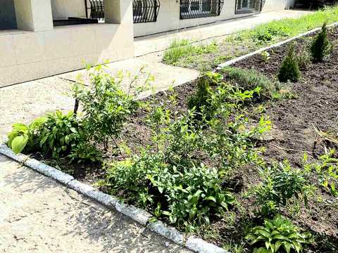 комерційна за адресою Вул. 16 Березня, 67