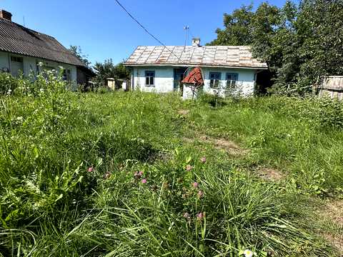 будинок за адресою Рошкевича