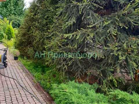 дом по адресу Новоолександрівка