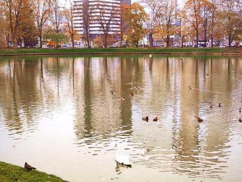 квартира за адресою Юлії Здановської вул. (Ломоносова), 71-З