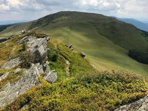 комерційна за адресою Центральна, 50