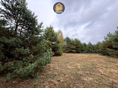 ділянка за адресою с. Абрамівка, 