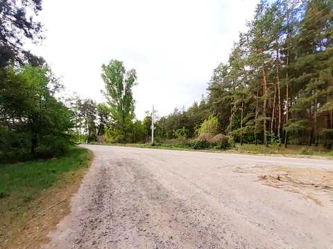 ділянка за адресою с. Грабинівка, Соснова