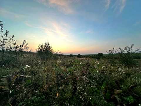 ділянка за адресою с. Лісові Гринівці,