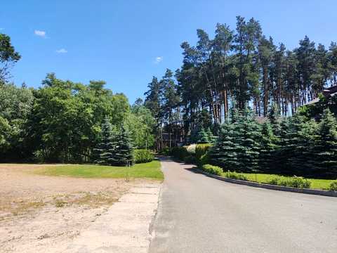 ділянка за адресою в Лісі