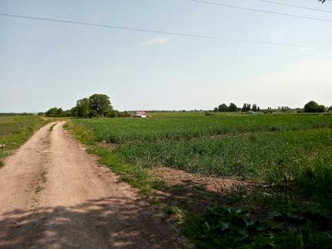 ділянка за адресою Нове село