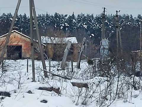 ділянка за адресою с. Сінгури, 