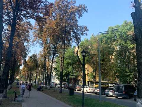 квартира по адресу Институтская ул., 22/7