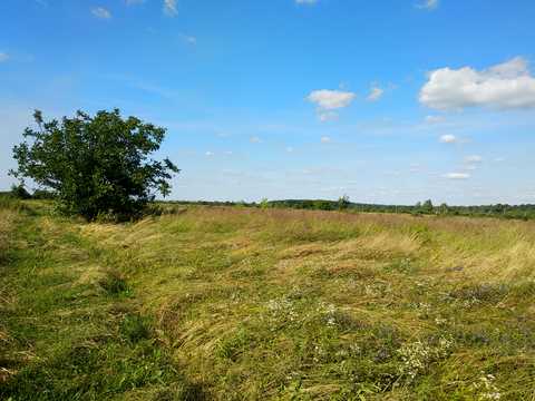 ділянка за адресою с. Черніїв, 