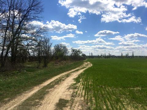 ділянка за адресою Лесі Українки