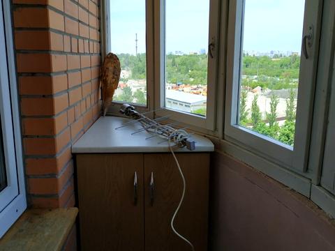 квартира по адресу Науки просп., 62-А