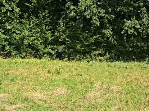 ділянка за адресою Іванівка