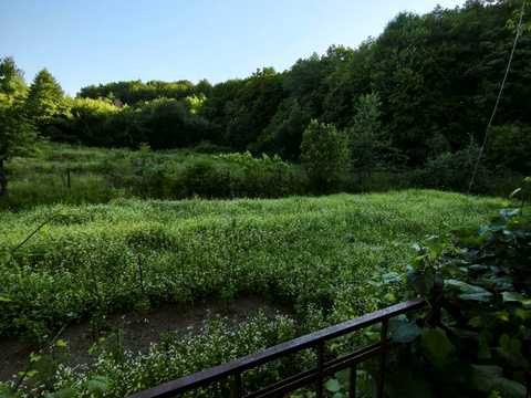 будинок за адресою Тараса Шевченка вул.