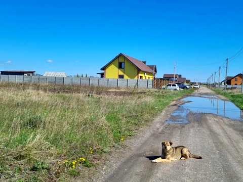 ділянка за адресою Весняна, 60