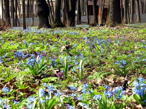 участок по адресу Батумская ул., 4