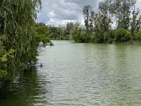 ділянка за адресою старова, 17