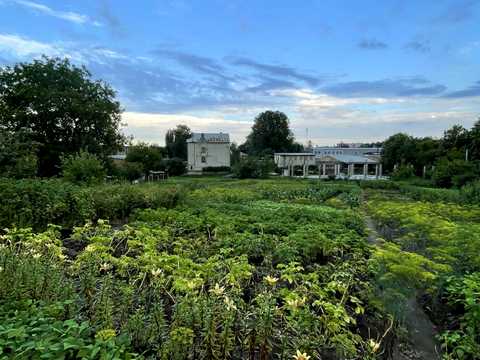 ділянка за адресою Левка Лук'яненка вул. (Декабристів)