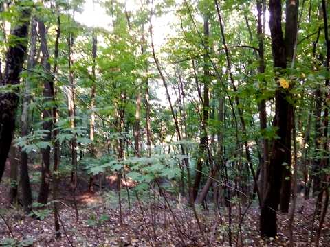 квартира за адресою Івана Мазепи вул. (Січневого Повстання), 3