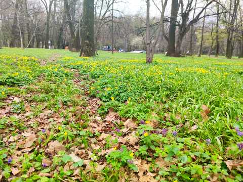 ділянка за адресою Гніванське шосе