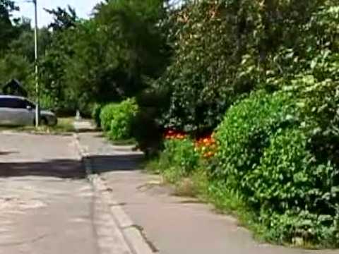 квартира по адресу Армянская ул., 29