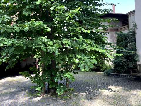 будинок за адресою СТ Дніпро