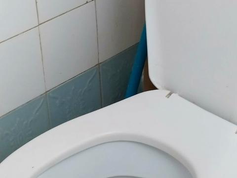 квартира за адресою Олександра Олеся вул. (Сергія Єсеніна), 14