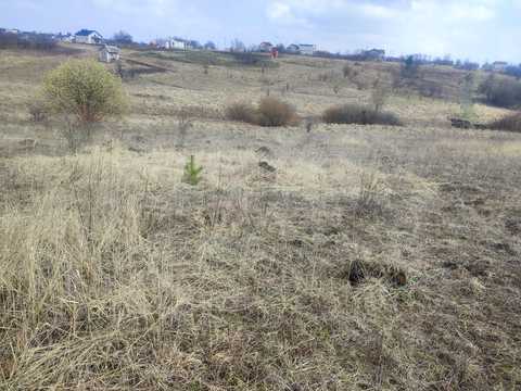 ділянка за адресою 