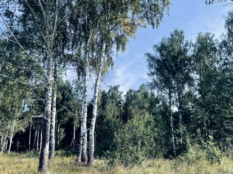 участок по адресу Озерна