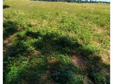 ділянка за адресою Будівельників