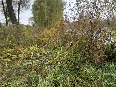 ділянка за адресою Зарічна вул.