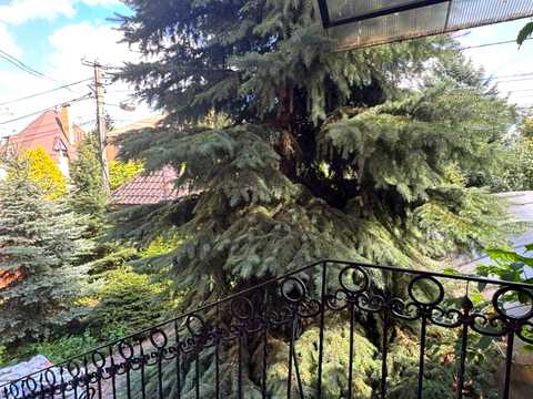 дом по адресу Вишнева