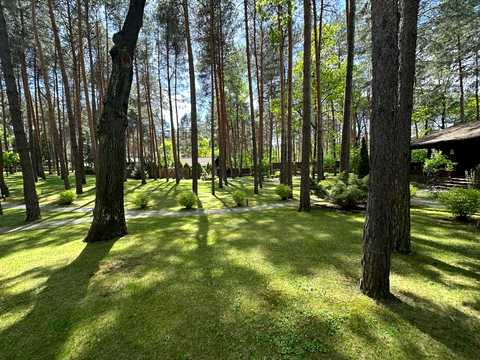 участок по адресу Лісова ул., 34