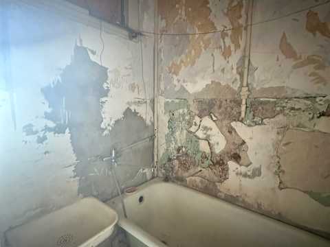 квартира по адресу Мира ул., 46