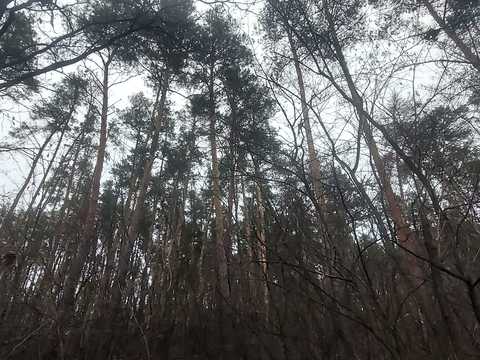 участок по адресу Васильківська