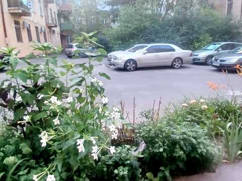 квартира по адресу Еврейская ул. (Бебеля), 9