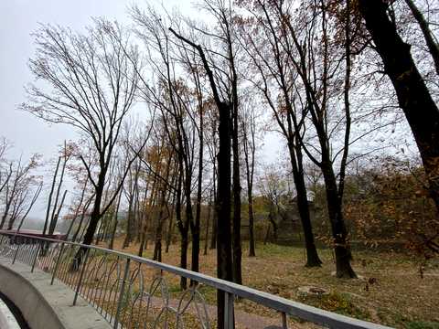 квартира по адресу Рижская ул., 73-Г